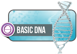 basic-dna